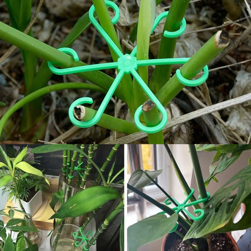 

Простые в использовании держатели для растений, поддержка для комнатных растений, как показано на фото, клипсы для фиксации растений, улучшающие здоровье растений