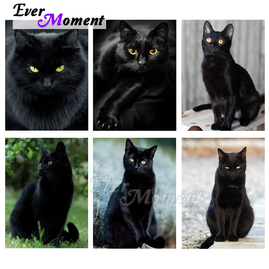 

Ever Moment алмазная живопись мозаика наборы для вышивки крестом для хранения ремесел и шитья украшения спальни домашнее животное милый черный кот ASF2358