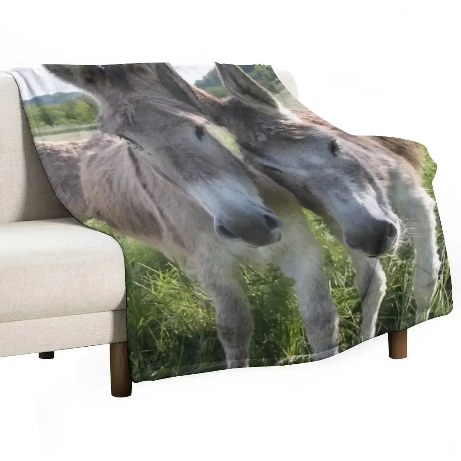 Adorable grey donkeys in the high grass meadow Throw Blanket Shaggy for babies Hairy Heavy Polar Sleeping Bag Blankets