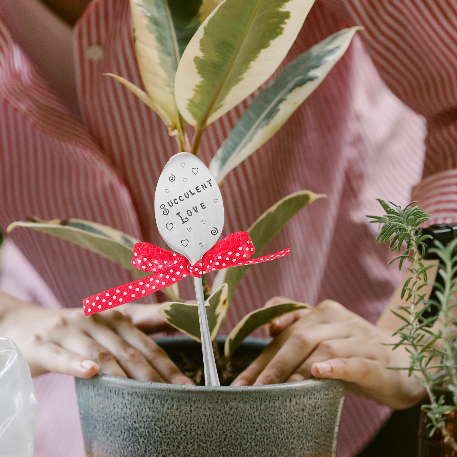 

Garden Labels Plant Markers Lightweight Long Lasting Flower Boards Succulent Tags Vegetable Signs Lawn naments Bonsai