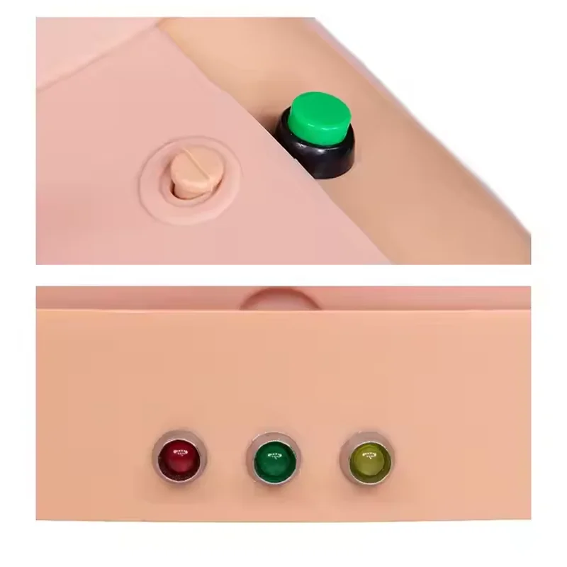 Cardiopulmonary Resuscitation Simulates Human Half Heart Training Resuscitation Artificial Respiration Dummy Teaching