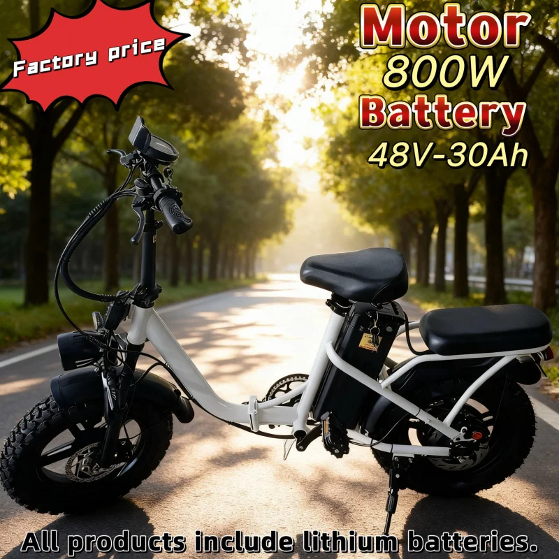 

16-inch foldable electric bicycle with run-flat tires + LED display + 800W motor + 48V-30AH lithium battery electric moped