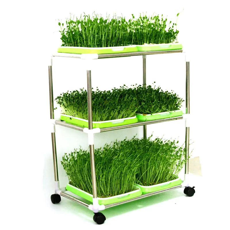 Bandejas de semeadura de berçário de cultivo de plantas para hidroponia