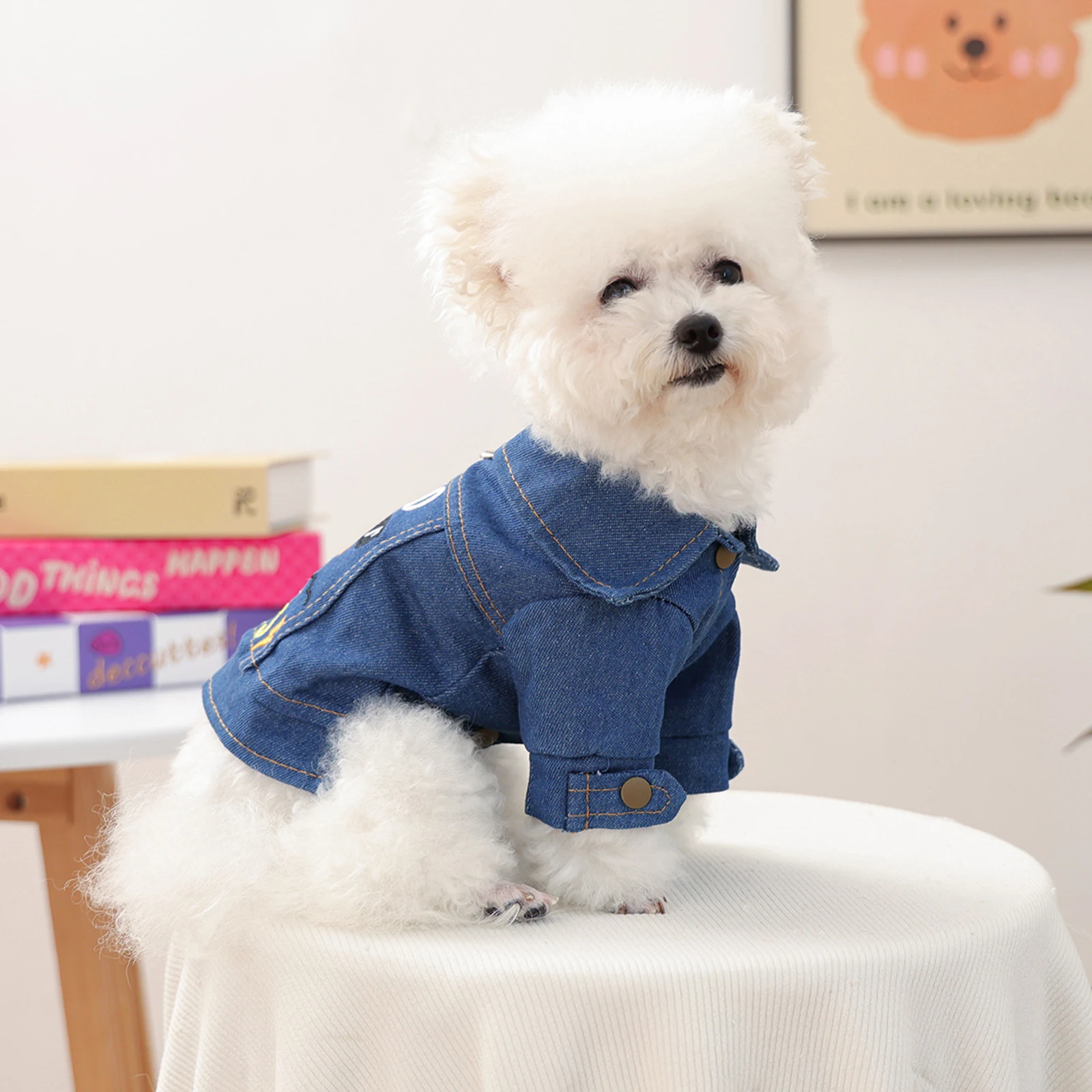 سترة جينز مطرزة بحروف الشمس للكلاب الصغيرة والمتوسطة والبنات والأولاد