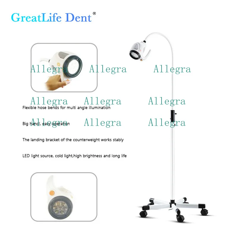 Greatlife Dent Luz De Examen Veterinaria Movil De Suelo, Lampara Sin Sombras 21W 7 LEDs Luz Fria