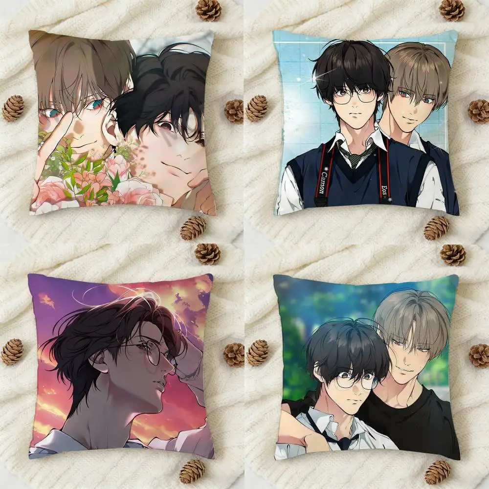 

KOREAN BL Manhwa BAEK Skylar Double-sided Printed Square Decorative Cushion Cover for Sofa Living Room Home Decor
