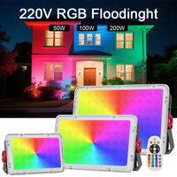 220V LED Spotlight RGB Floodlight 50W 100W 200W Outdoor Flood Light Waterproof Led Projector For Garden Lighting Decoration