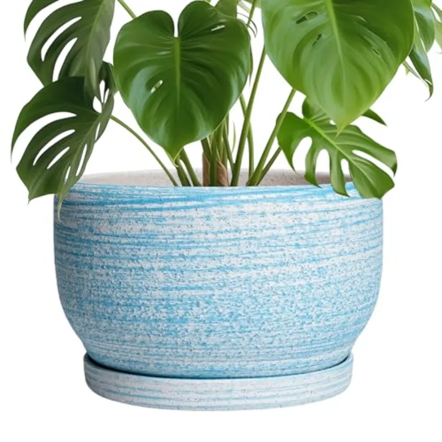 Ceramic Plant Pots …