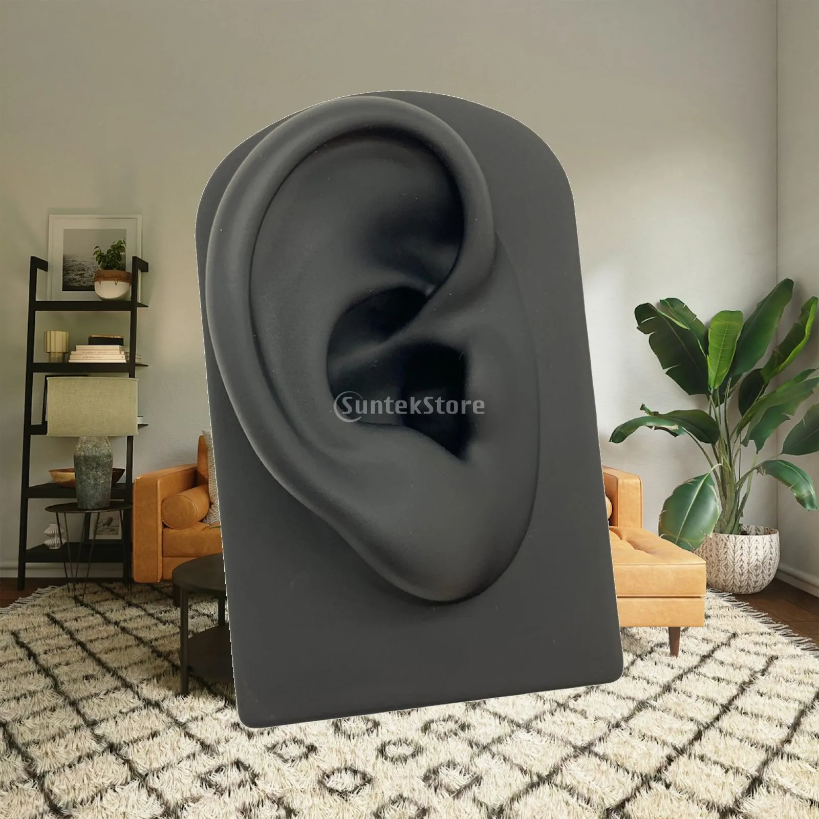 Ear Model Human Model Professional Display Props Silicone Model