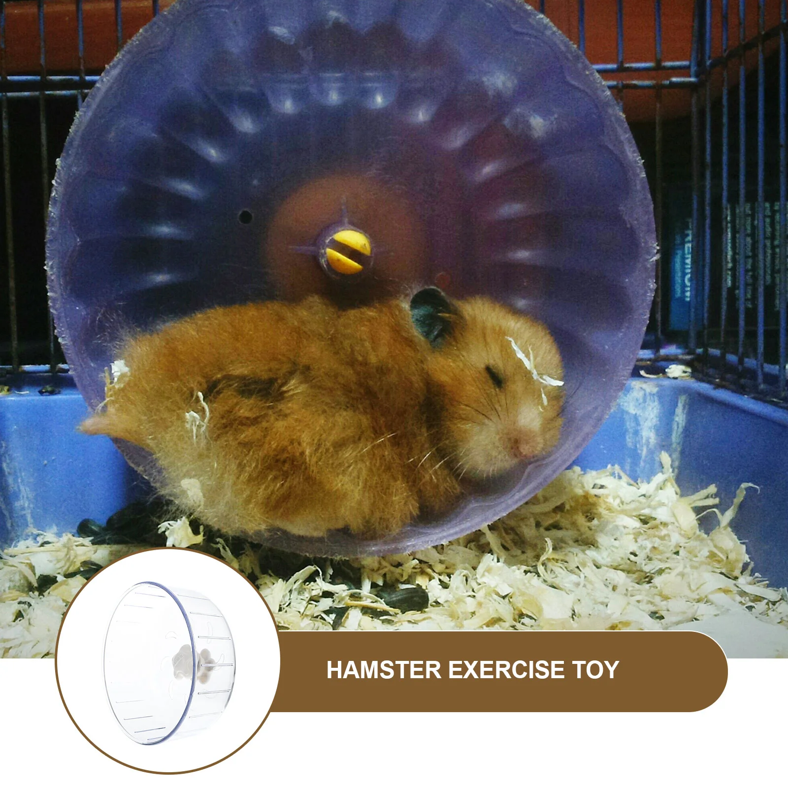 Roue de course pour Hamster, hérisson Transparent, fourniture de Chinchilla domestique, accessoire pour petits animaux, silencieux