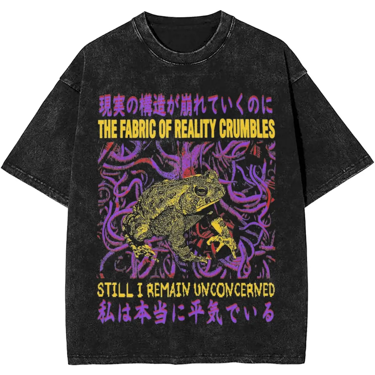 Graphic Printed Reality Crumbles Frog T Shirt Accessories Men Women Japanese Frog Horror Washed Tee Shirt Harajuku T-shirts