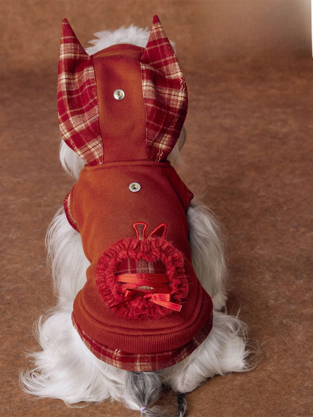 tawneybear-hoodie-dog-clothes-for-small-dogs-warm-casual-style-autumn-winter-clothes-for-schipperke-pomeranian-chihuahua