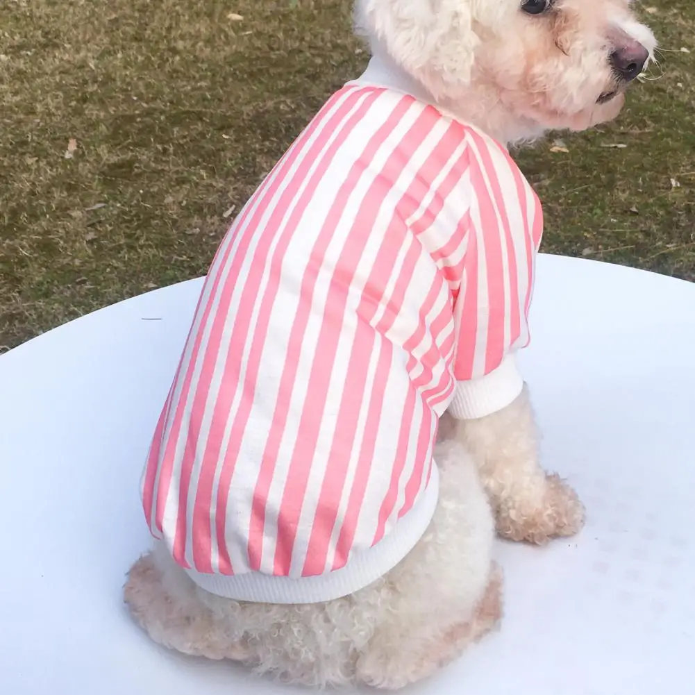 Camiseta de cachorro com pescoço redondo de duas pernas, roupa de cachorrinho, design decorativo listrado, roupas para cachorros gatinhos, roupas para a vida cotidiana