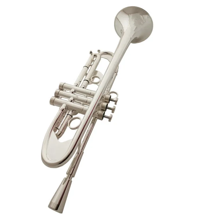 

Hooqu Professional B Flat Trumpet for Beginners Heavy Silver Plated Brass Instrument for Adult Band Learning To Play