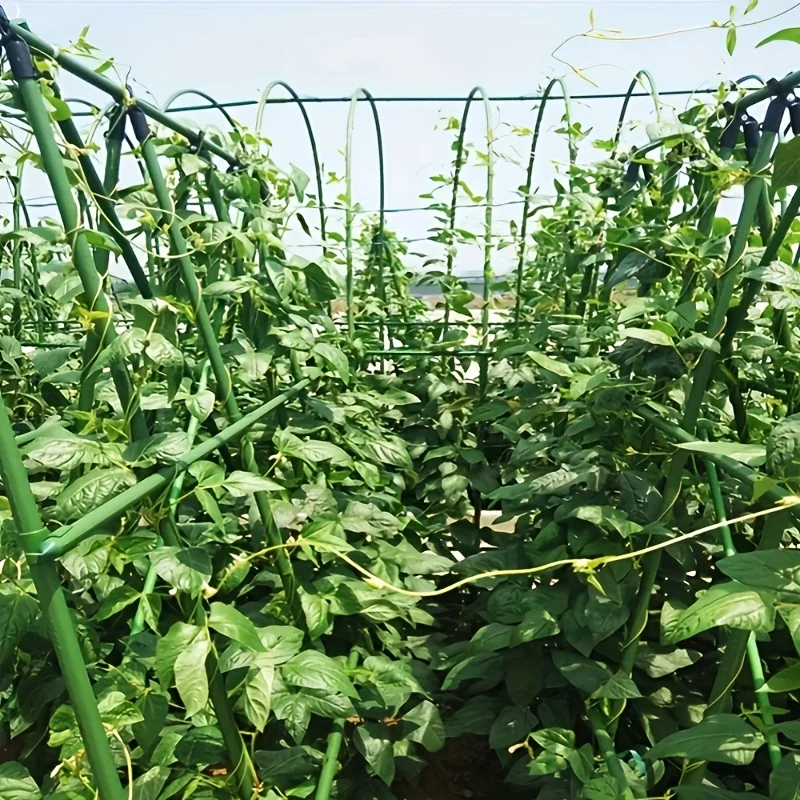2026Climbing Plant Support Stake Set, Plastic Coated Steel Trellis Frame for Growing Tomato Cucumber Beans in Yard   H0983