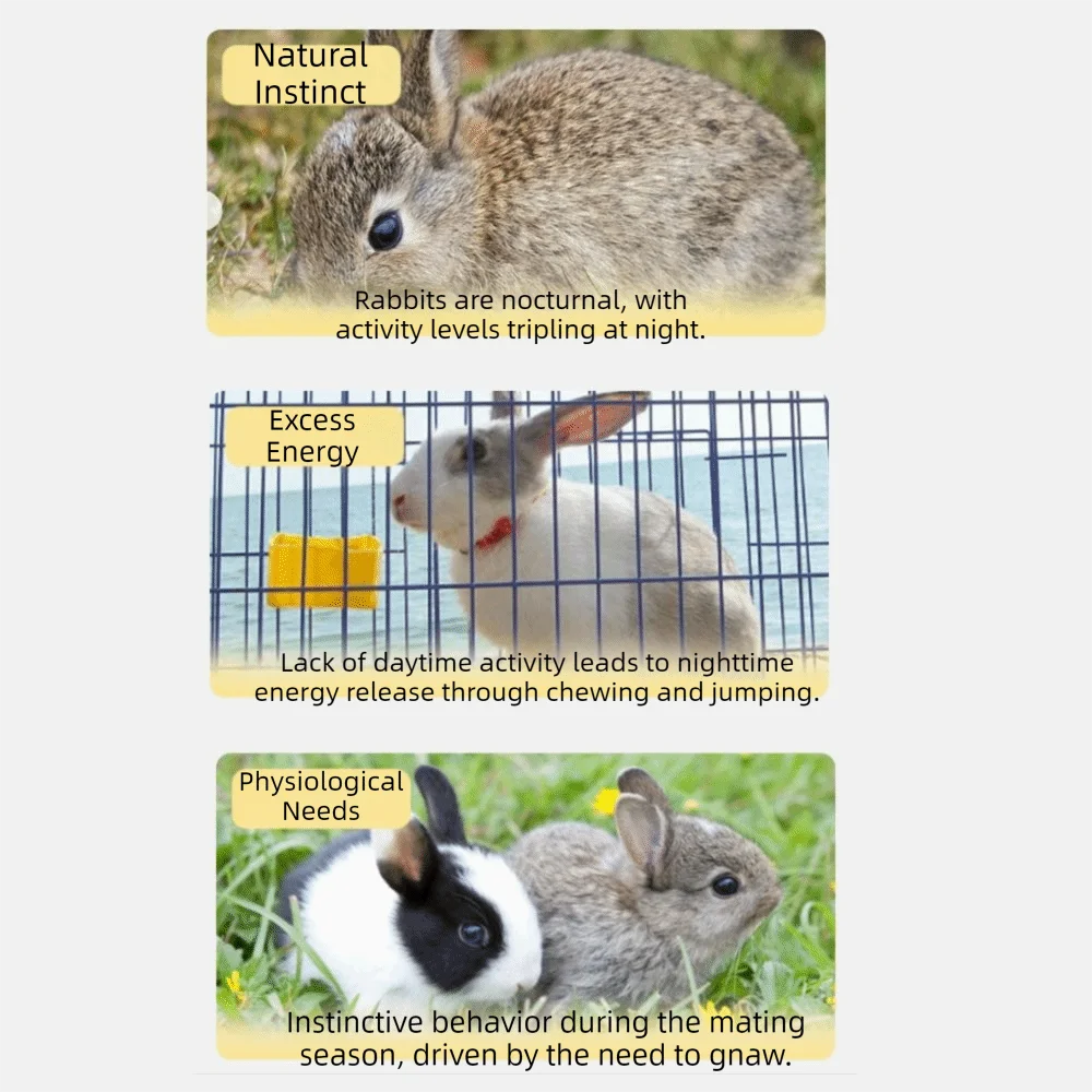 

Creative Bite Resistant Rabbit Soothing Ball Simulated Buttocks Soft Pet Chewable Ball Comfortable Pet Soothing Cage