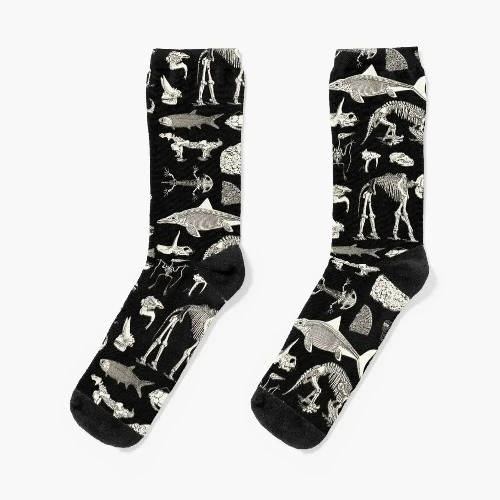 

Paleontology Illustration Socks luxury funny sock football Socks For Women Men's