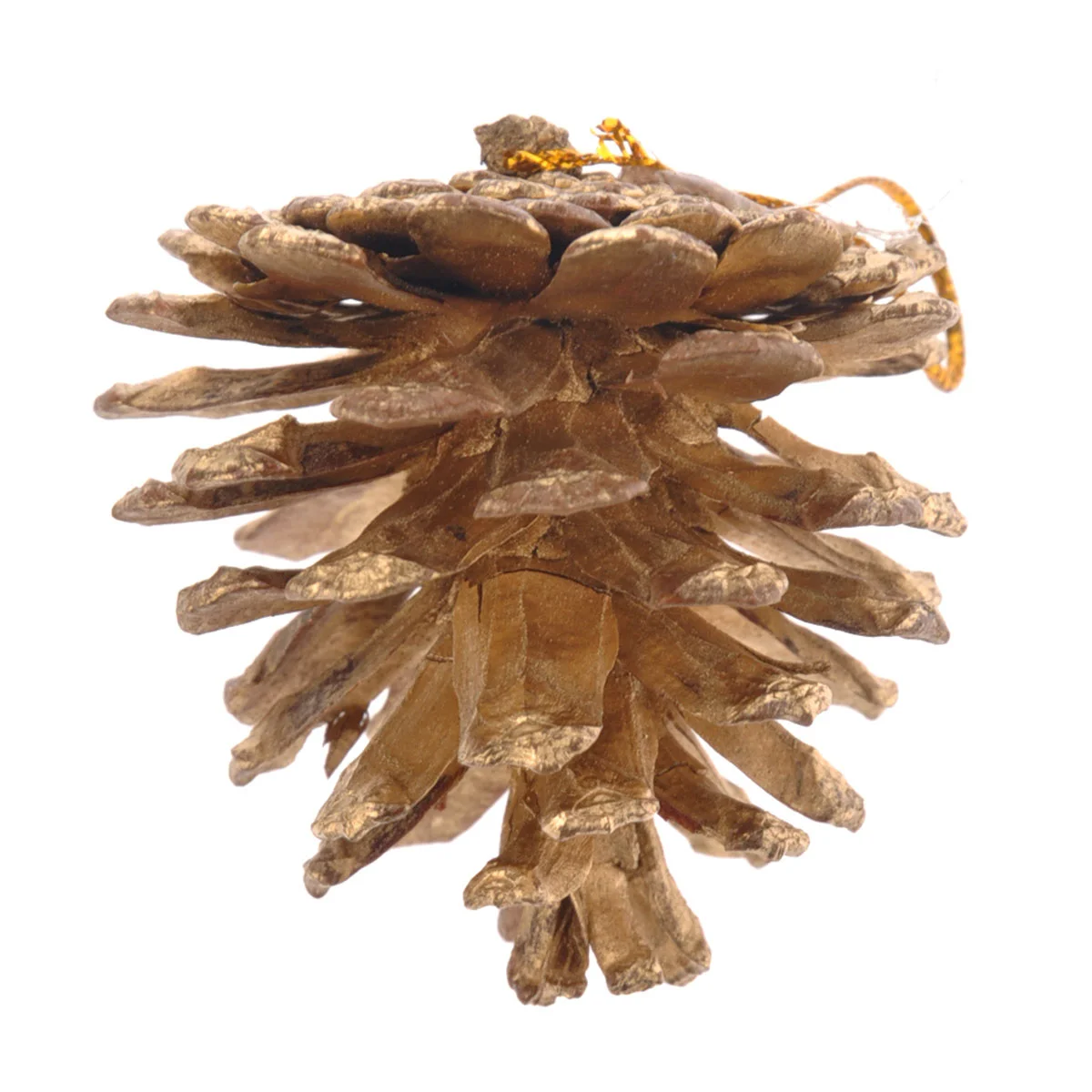 Christmas Tree Decorative Natural Pinecone Pine Nut Christmas Decoration - 9 pcs/set (Golden)