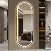 Modern minimalist LED lamp wall mirrors Light makeup mirror ground Large floor mirrors full body bathroom mirror Room decoration