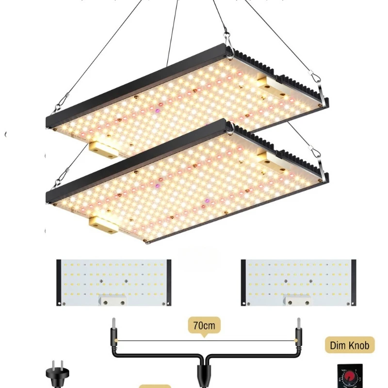 Lampada per la crescita delle piante, luce di riempimento succulenta, colorazione per la crescita ad alta potenza da 240 W