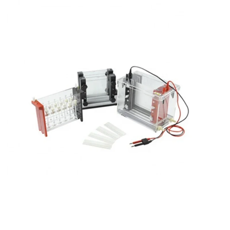 Gel Electrophoresis System Apparatus