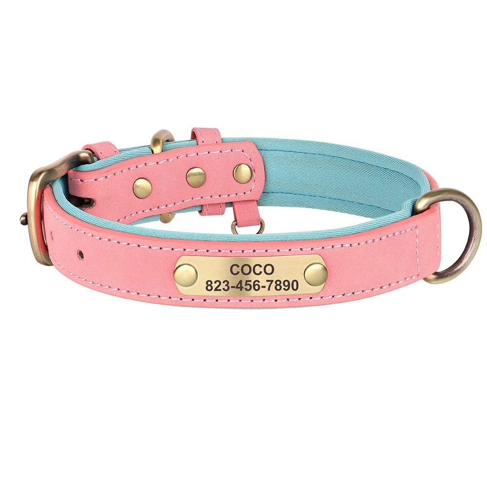 Thumbnail 4 - #24 Cheap Pet Collars Worth Buying