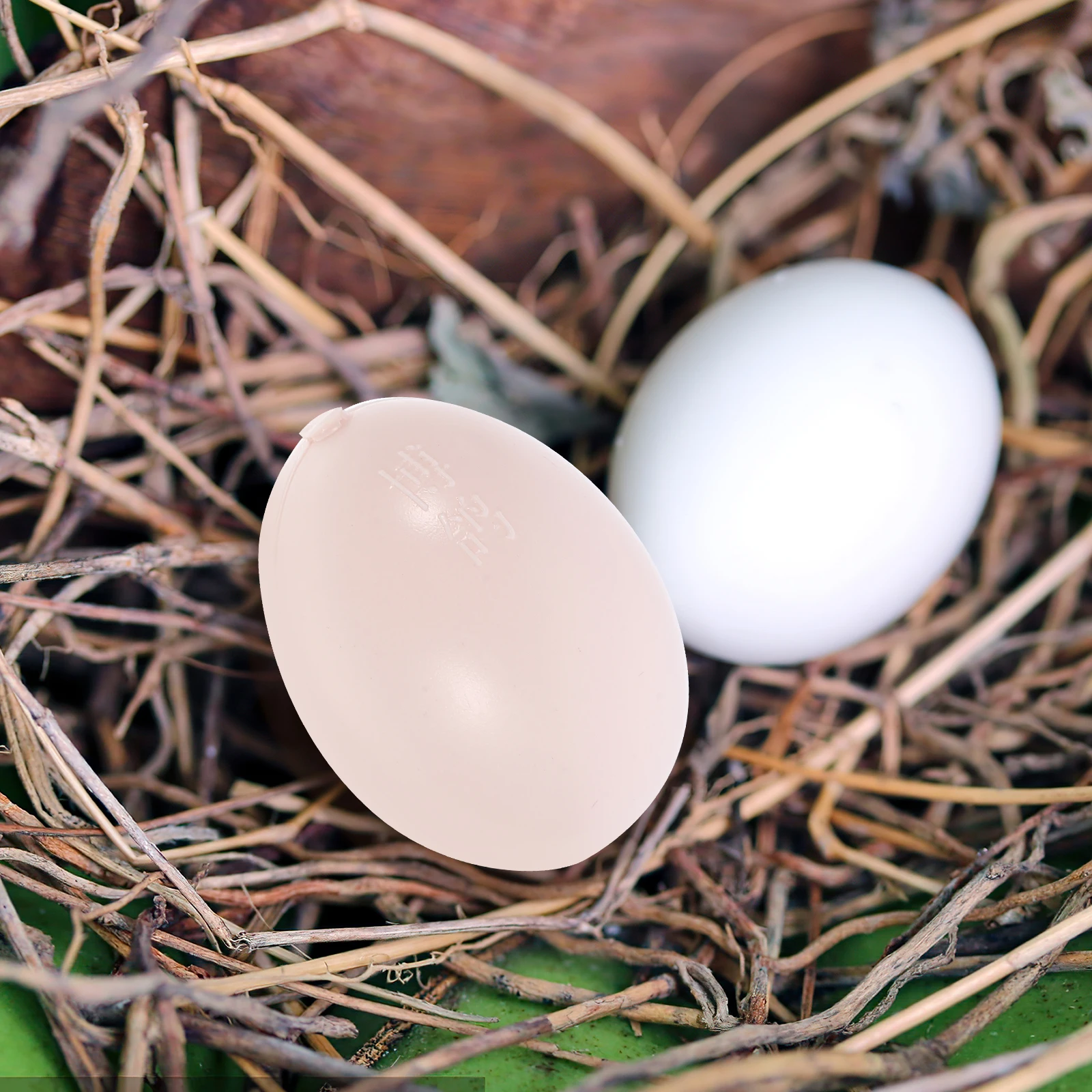 

10pcs Water Filled Fake Pigeon Eggs Lifelike Design Safe Non Toxic Control Quality Increase Production Decor Home