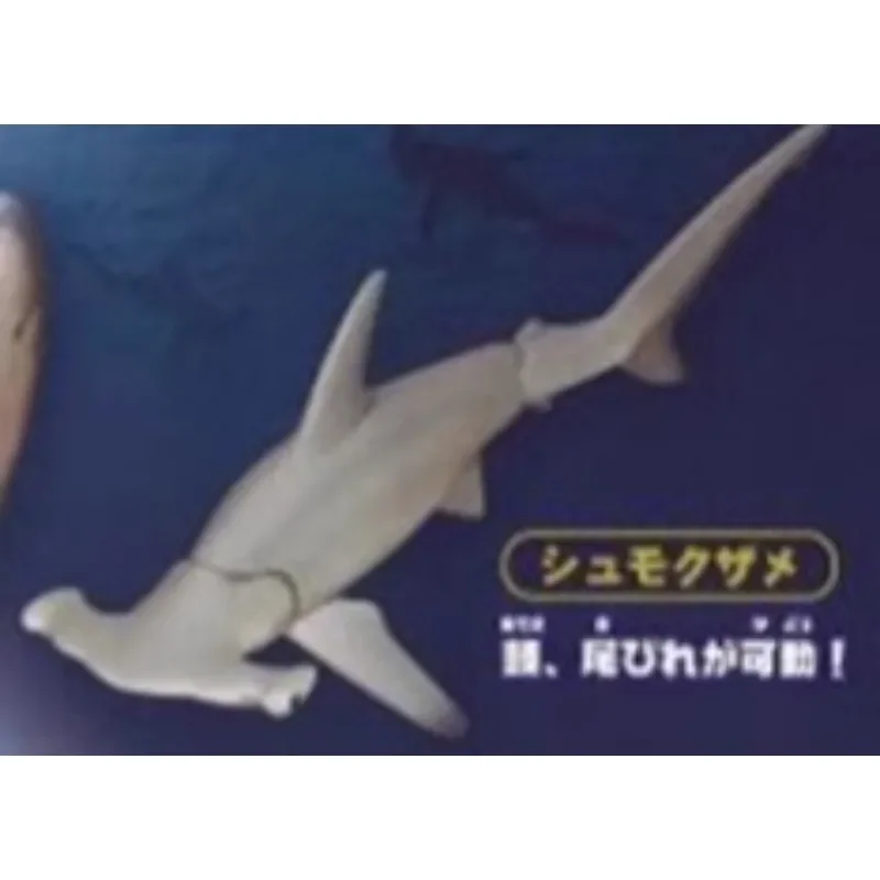 Original Sea Life THE SHARK Gashapon juguetes figura de simulación modelo adornos Juguetes