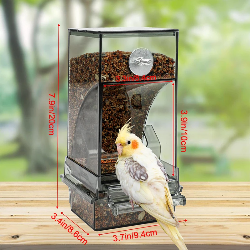 وحدة تغذية شفافة للطيور سهلة الاستخدام، حاوية بذور الببغاء الأكريليك للقفص، موزع طعام أوتوماتيكي