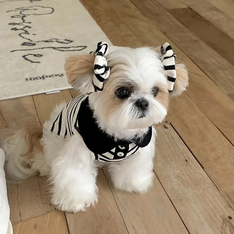 Poodle Autumn Lapel Collar T-Shirt, Teddy Warm Vest, Small & Medium Dog Soft Base Shirt, Sweet Striped Dog Clothes