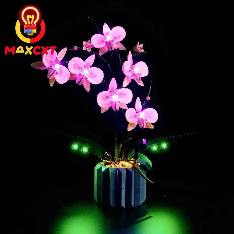 MAXCXT LED Light Set For LEGO 10311 Orchid DIY Decorative Lamp With Battery Box (Not Include Lego Building Blocks Set ﻿）