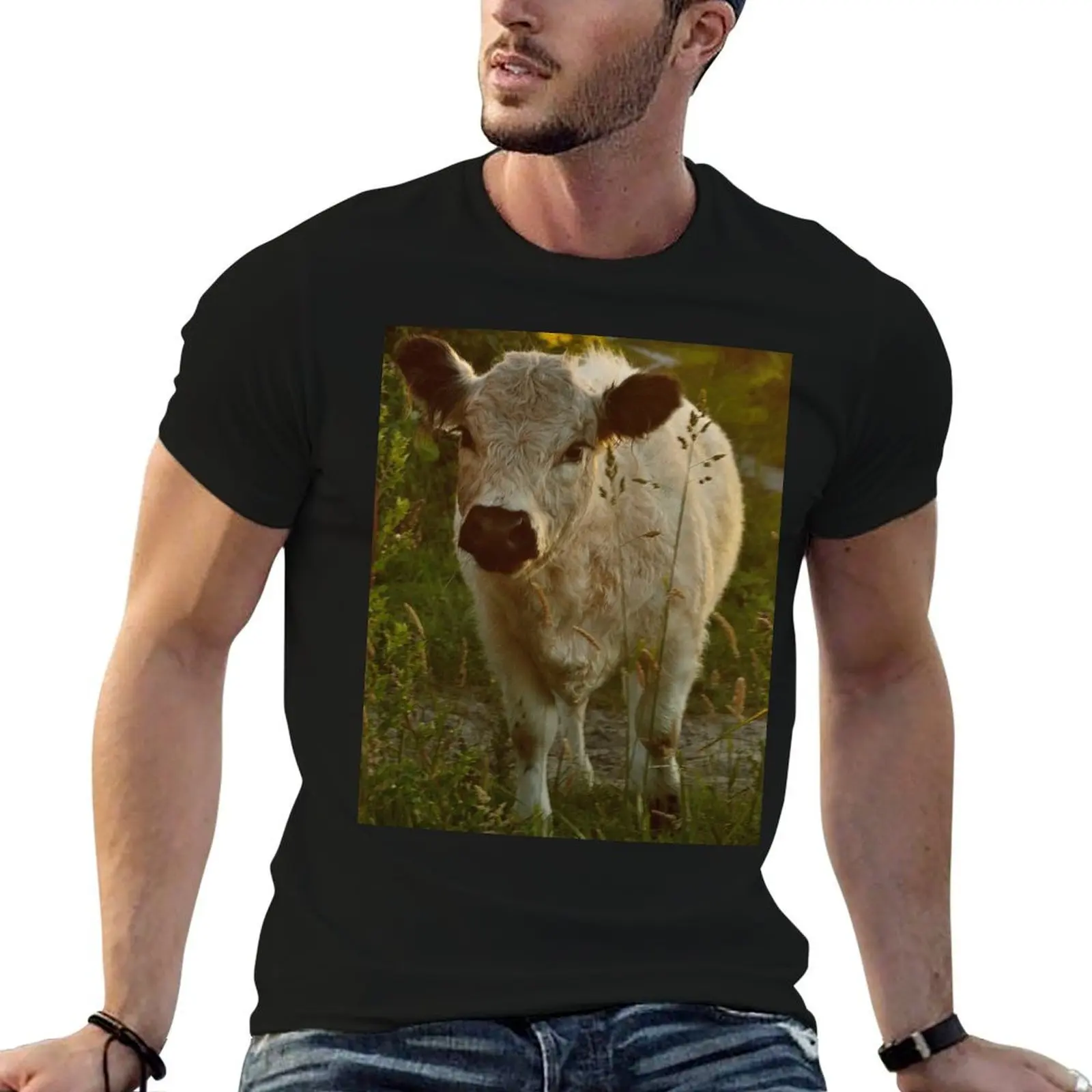 

Galloway calf T-Shirt t shirts for man cotton cotton t shirts man 100% T-Shirt