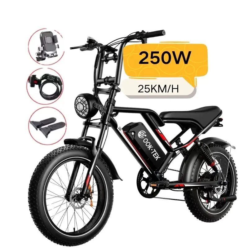 

STLF NL US Stock Enduro Ebike 250w Electric Bike Frame with Max Speed 25km/h E Bikes Cheap 2025 Quality V8 V20 Electric Road Bik