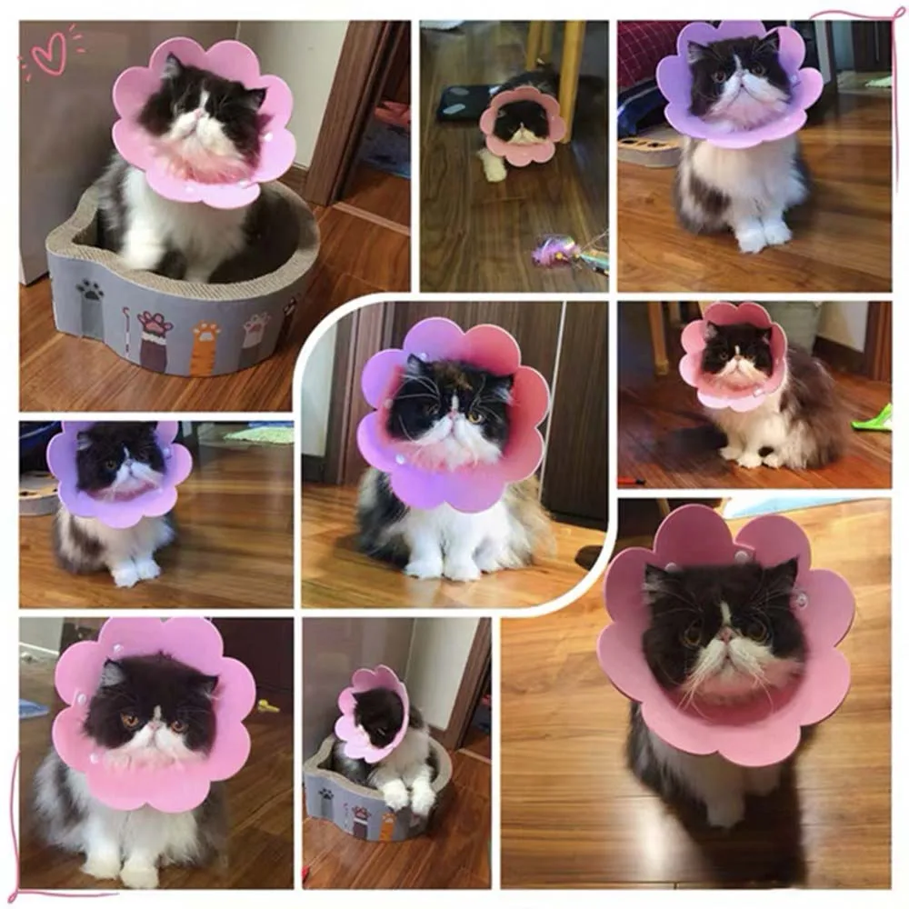 Lovely Flower Shape Cat Elizabethan Collar Multisize Anti Licking Pets Protection Cover Dog Sterilization Neck Cone Recovery