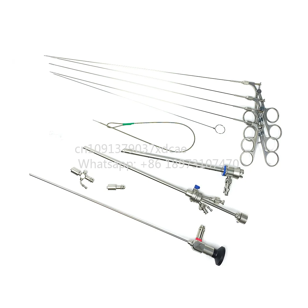 2026 NEW Camjoy Factory Direct Sales 2.9mm 3mm 4mm Rigid Hysteroscope Gynecology Endoscope KARL STOZ Compatible Sheath