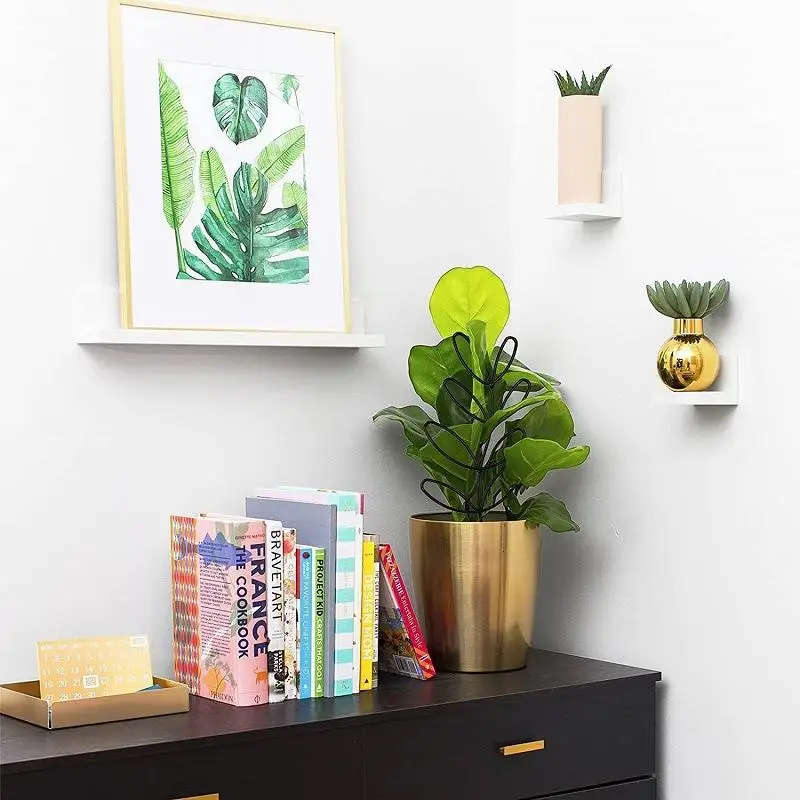 Plant Climbing Frame Indoor Outdoor Plant Stake Set for Potted Climbing Vines Space Saving Gardening Support for Small Spaces