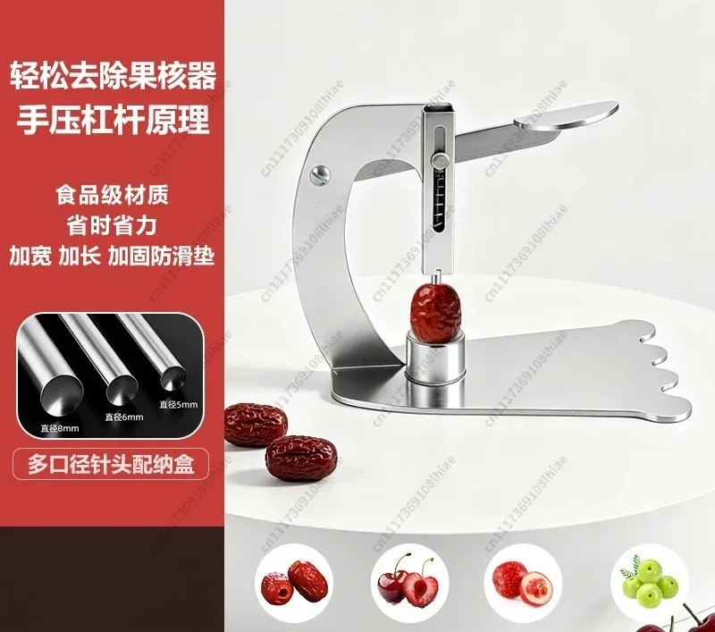 Stainless Steel Fruit Seed Remover, Core Pitter for Jujube Hawthorn Longan Olive Fruit