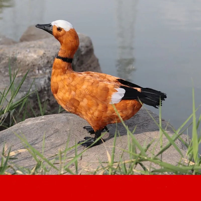 

Имитация животного из пенопласта и перьев, большая фигурка птицы (30x20x35 см), модель красношерстного утки, украшение для дома, подарок y769