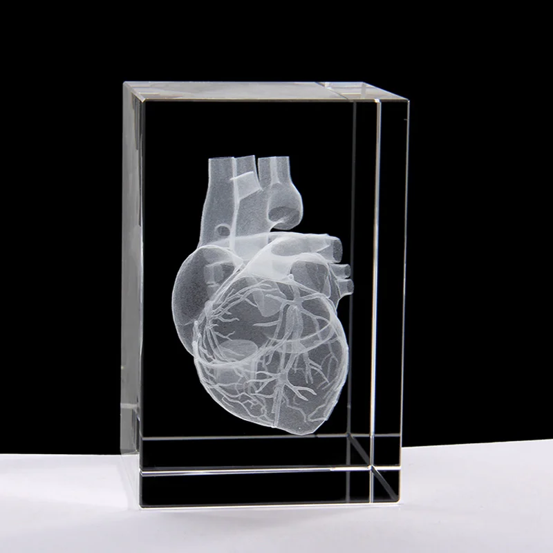 Heart Anatomy Model Design Cube Crystal 3D Laser Crystal Engraving With Detailed Visible Blood System For Hospital Souvenirs