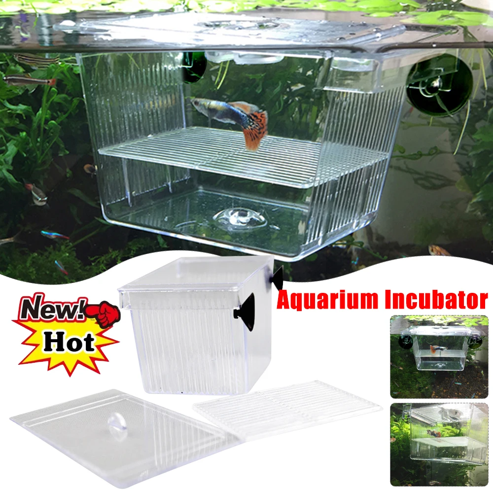 Incubadora de acuario transparente, caja de aislamiento para pecera, incubadora acrílica, decoración de peces, tanque de peces, sala para incubar