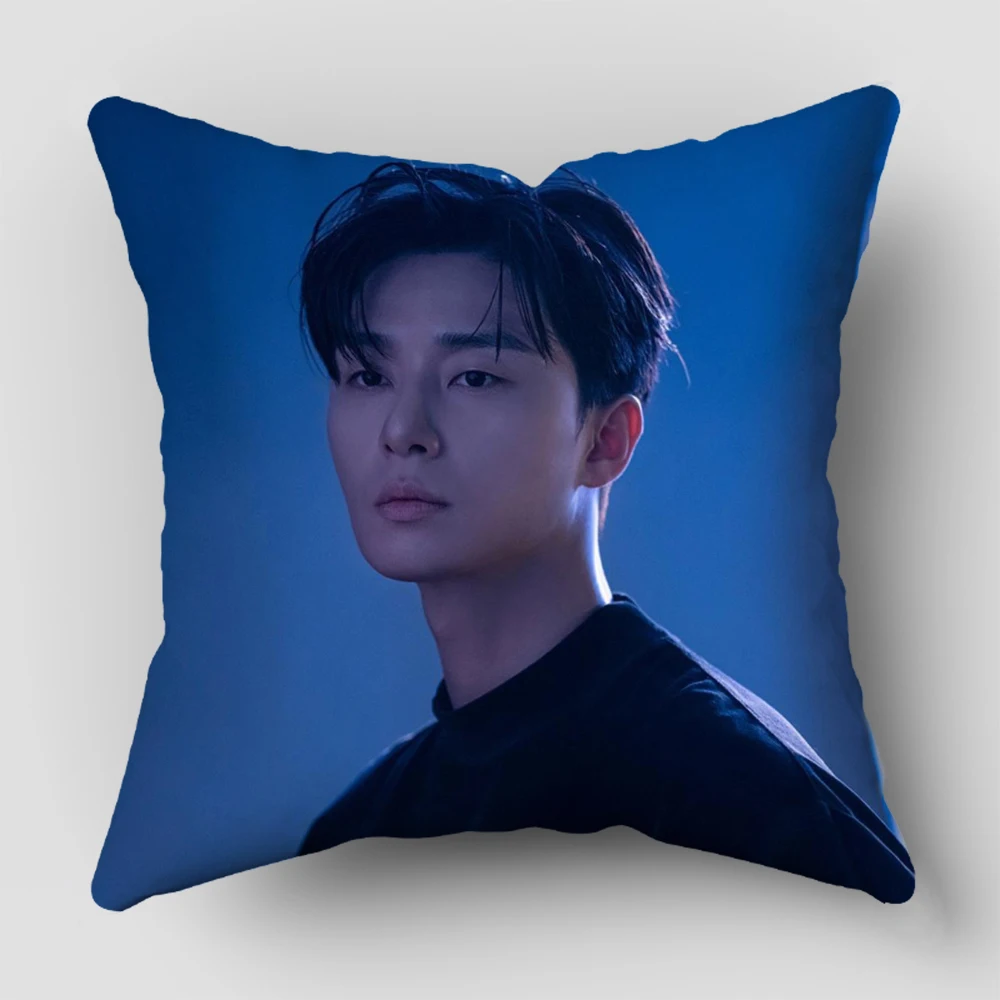 أغطية وسائد Park Seo Jun قابلة للغسل في الغسالة لديكور المنزل وعطاء الهدايا 3.3