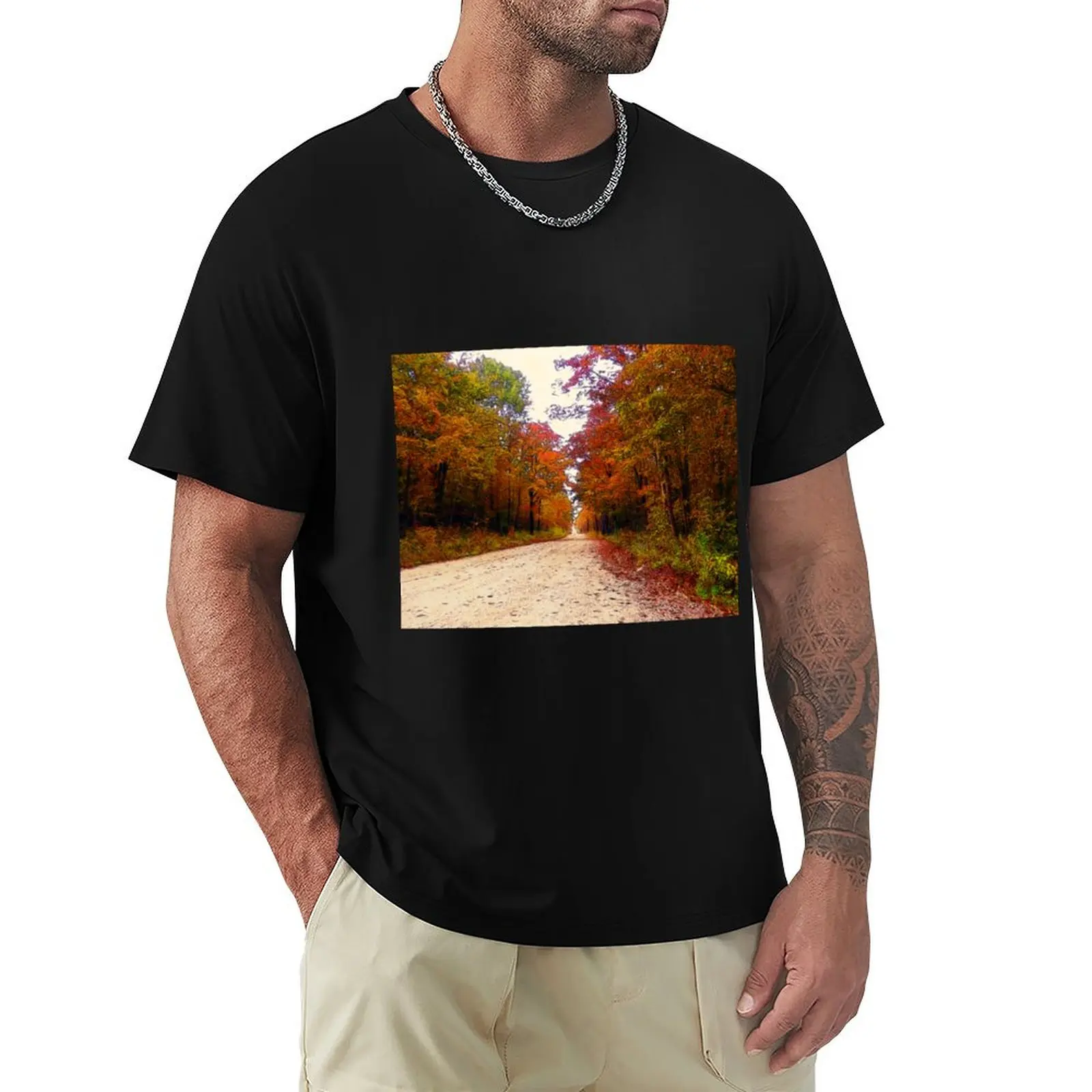 Country Road - Fall Colors - Landscape T-Shirt hippie clothes anime for a boy cute clothes men workout shirt