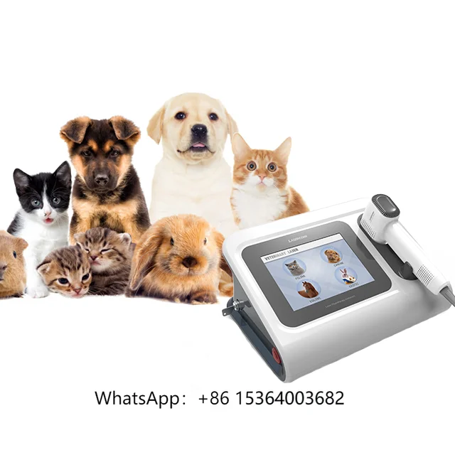 

810nm 980nm 1064nm High Intensity Pet Laser Therapy for Animal Veterinary Laser Therapy
