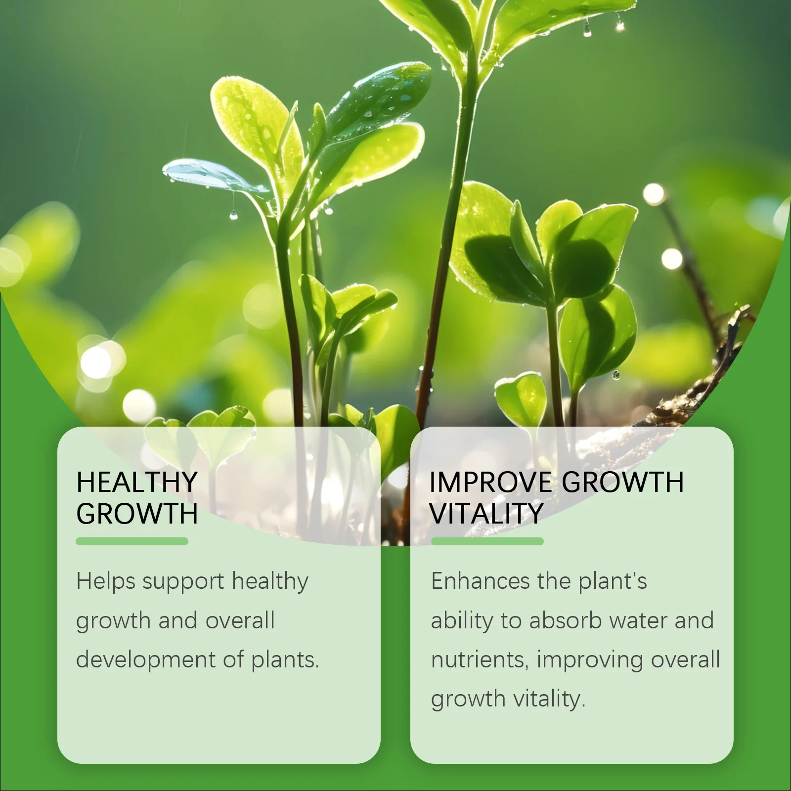 MOONSPRY Plant Nutrient Liquid Enhance the Plant's Ability to Absorb Water and Nutrients, and Improve Overall Growth Vitality
