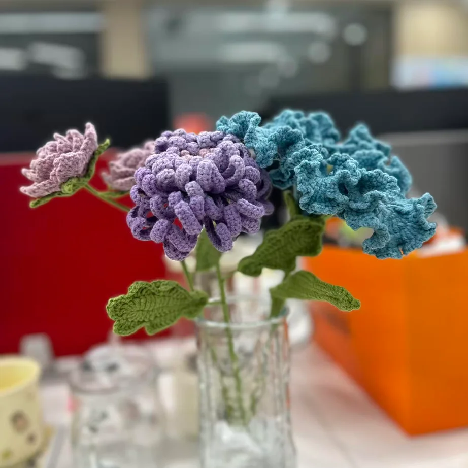 

DALY 100 Balance: Специальная ссылка для послепродажного обслуживания