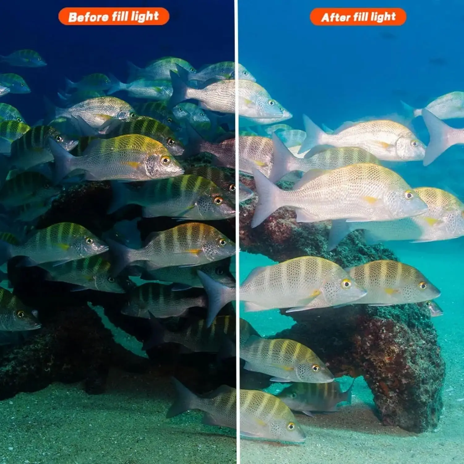 Searogs ST100 PRO GN32 مقاوم للماء ستروب تحت الماء فيديو ضوء فلاش تحت الماء التصوير الفوتوغرافي لسوني كانون نيكون بانسونك