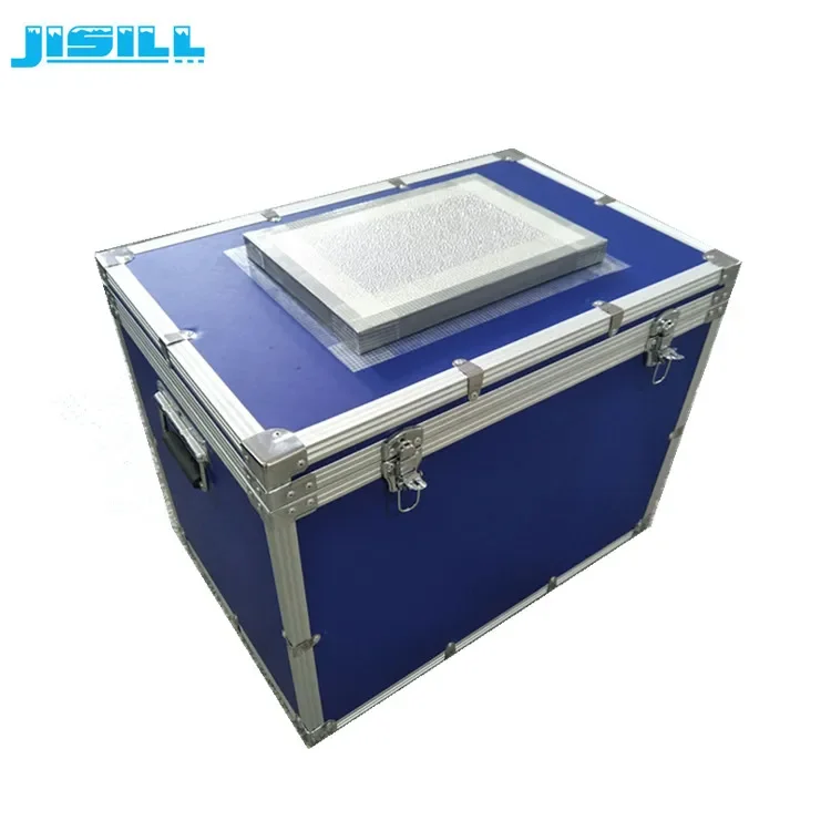 Eco Friendly Control Temperature Ice Cream/Vaccine Cold Storage Box