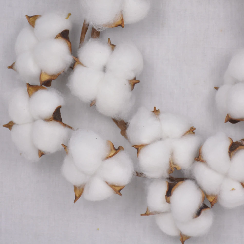 

10Inch Dried Flowers Garland Cotton Flower Wreath Decor for Wall Door Window Home Wedding Party Hanging Decoration Indoor