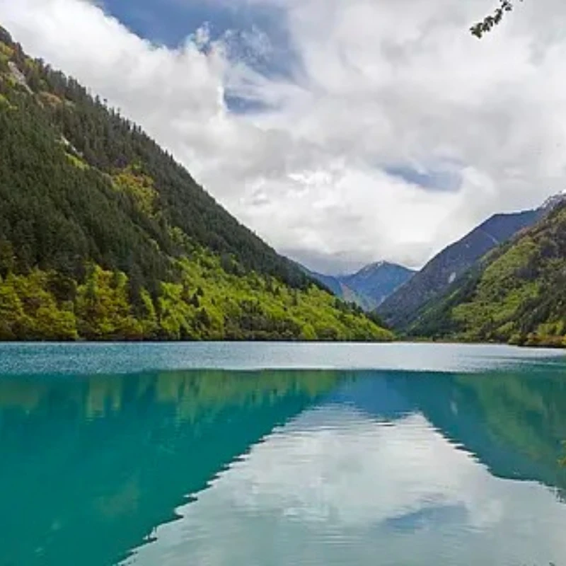 Caddx Walksnail Avatar HD Pro Kit 32G con versión de antena única Gyroflow para drones FPV Freestyle piezas de bricolaje