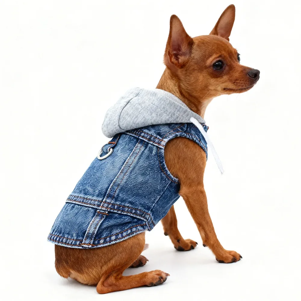 Thumbnail 4 - #11 Trending Puppy Coats Right Now